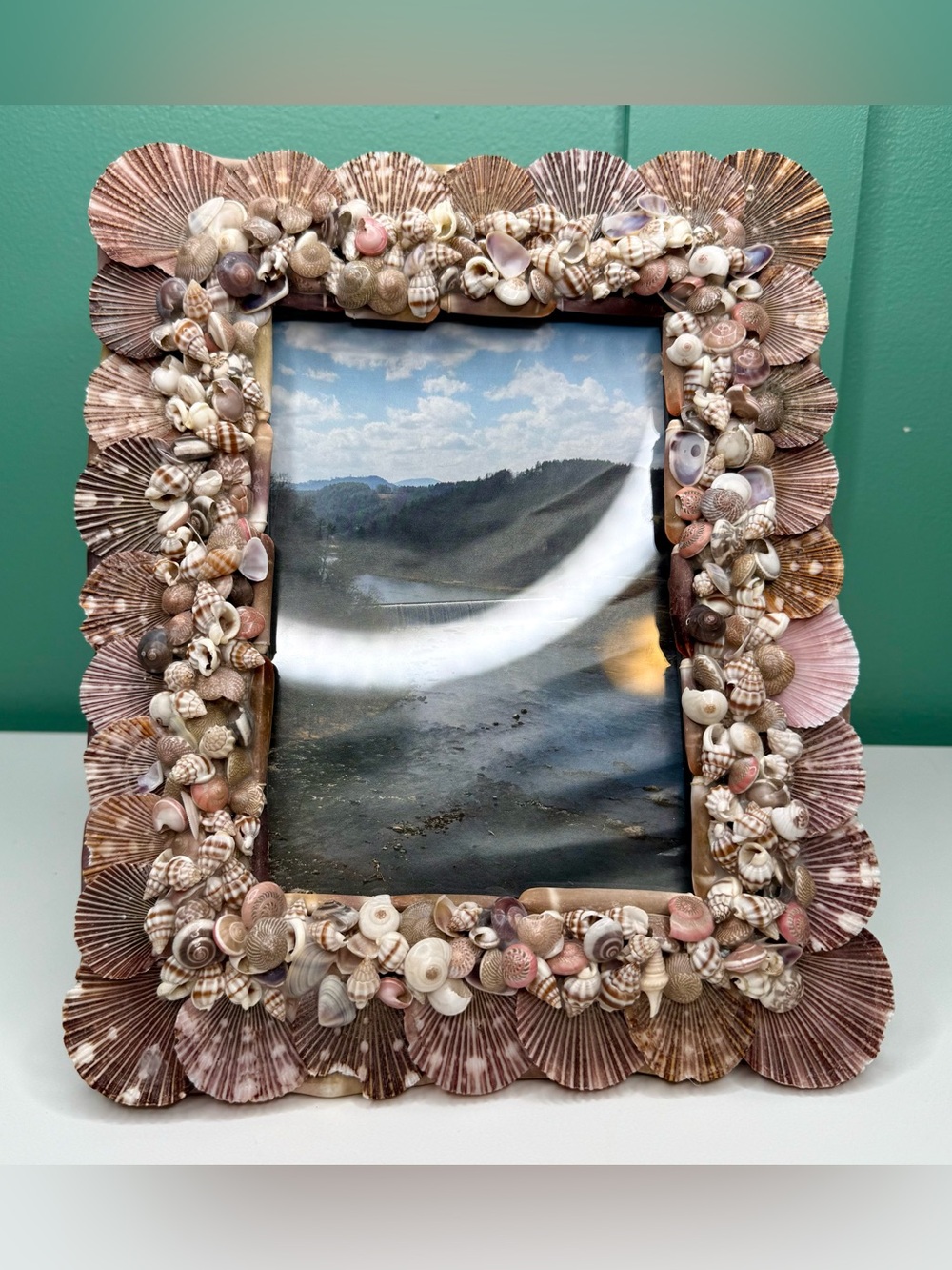 Seashell Shell Photo Picture Frame Natural Coastal Beachy Beach House Decor - Picture 2 of 16
